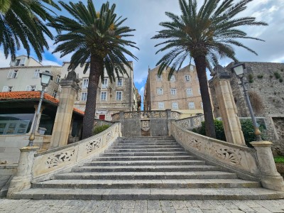 WhatsApp Image 2026-03-11 at 13.16.29 (5).jpeg